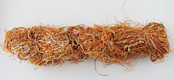 シルクリサイクル糸